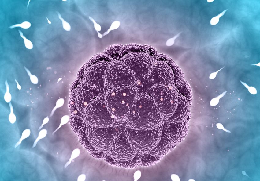 embryoscope technology reshaping ivf: a breakthrough in fertility treatment embryoscope technology reshaping ivf: a breakthrough in fertility treatment